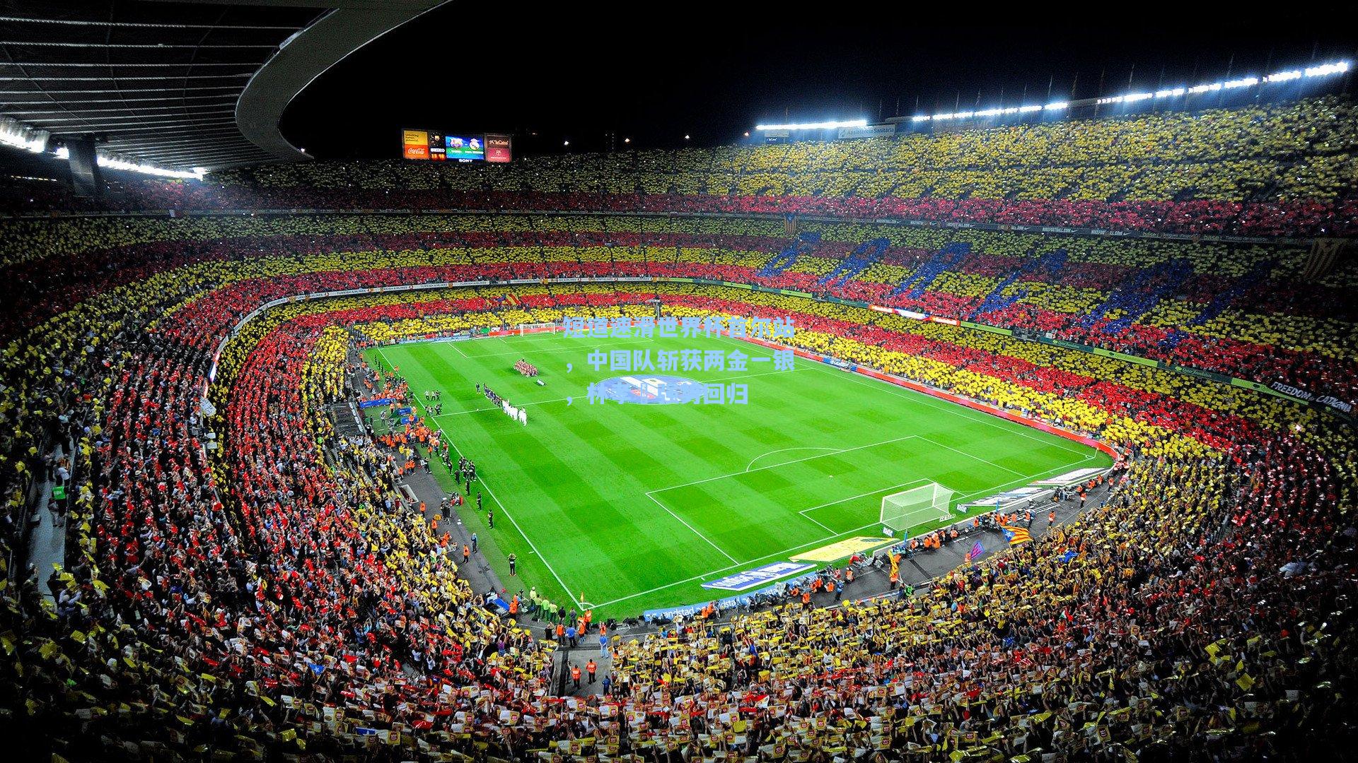 短道速滑世界杯首尔站，中国队斩获两金一银，林孝埈强势回归